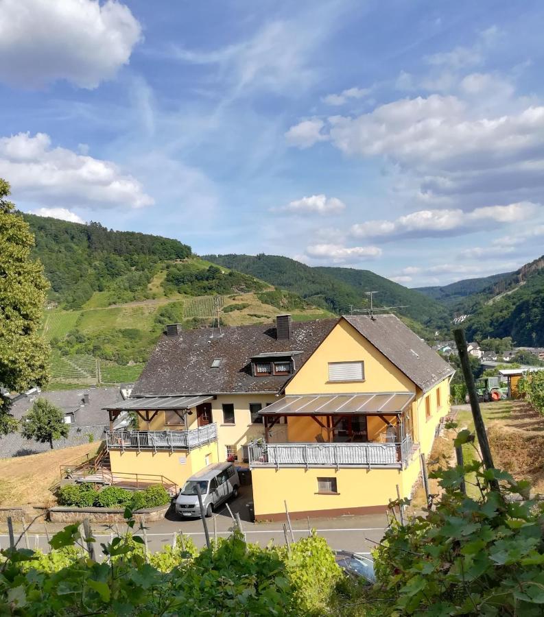Die Ferienwohnung Lindenhof Zell an der Mosel Exterior photo